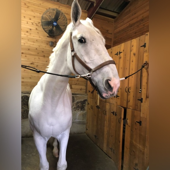 Meet your Posher, Candice - Picture 12 of 12